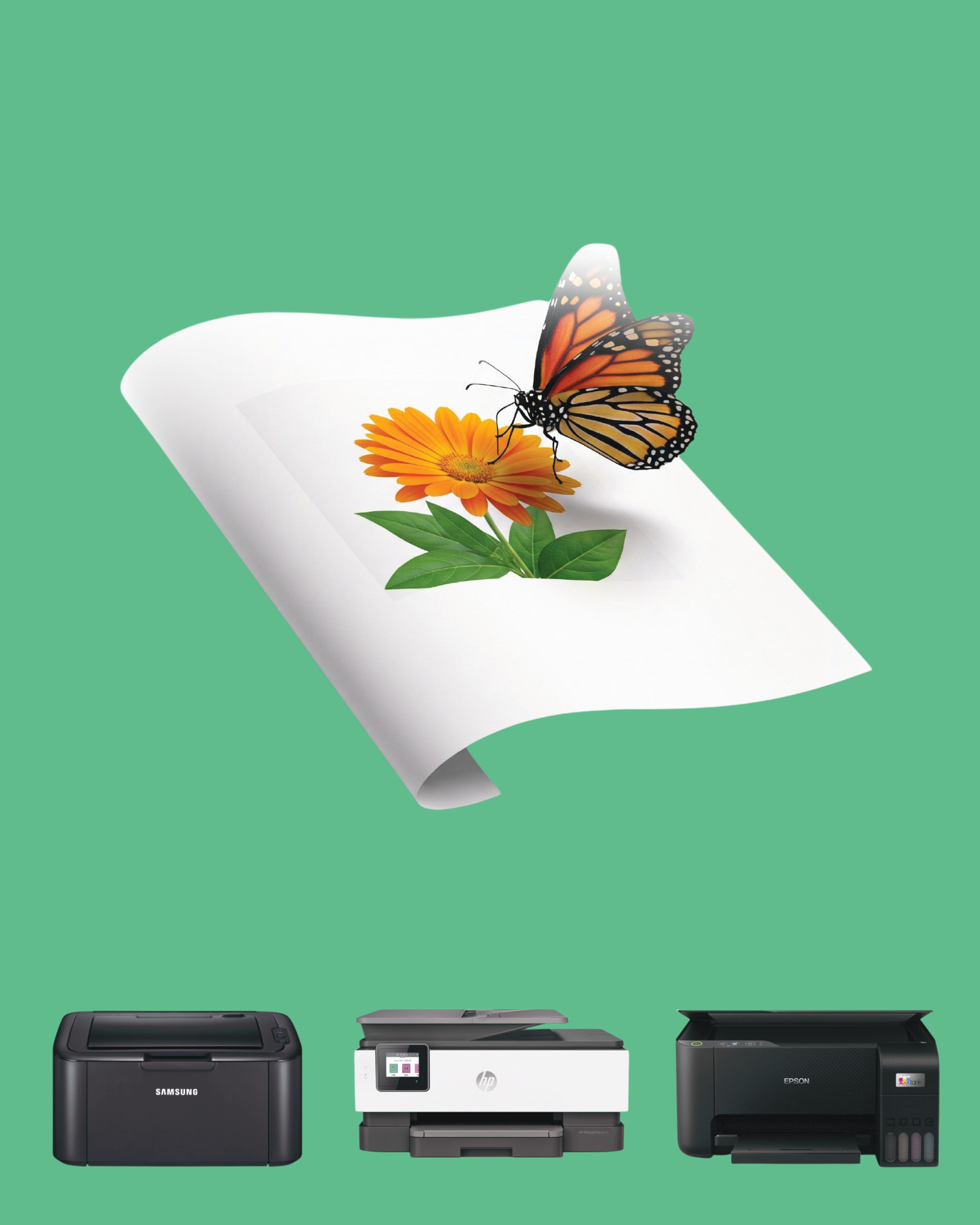 Printer & Peripheral